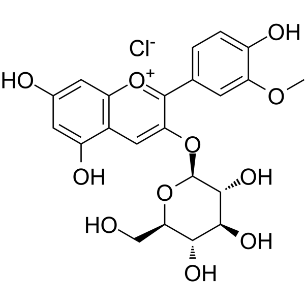 Peonidin 3-O-glucoside chloride 6906-39-4
